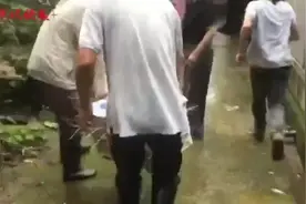 “嗖”的一下飞奔而去！安装了定位项圈的野生獐放归紫金山图片
