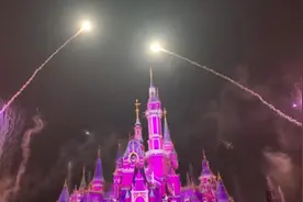 没有预告，上海迪士尼烟火秀重新点亮夜空游客激动不已图片