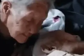 100岁奶奶贴脸陪伴98岁爷爷，网友：这才是白头偕老图片