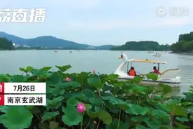 南京玄武湖被摘并蒂莲已追回：计划制成标本，游客被罚200元图片