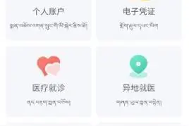 青海藏文版医保APP正式上线运行图片