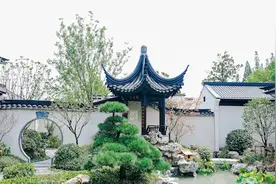 中国铁建地产：以“孤品”院落致敬千年文脉图片