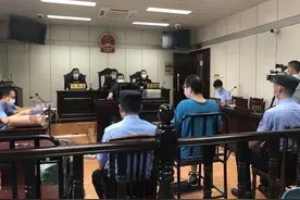 跨国交易涉案超2000万元  江苏特大走私象牙案宣判图片
