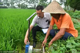 江苏如皋：水利职工小发明 节水灌溉大进步图片