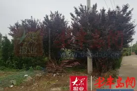 30亩地70年使用权村里要收回？村书记：一年5000利息图片