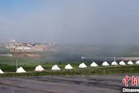 甘肃甘南拟“立法”保护牦牛藏羊品种资源图片