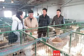 儋州排浦镇致富带头人陈汉洲：跑海鸭蛋淘出黄金致富路图片