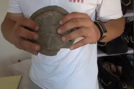 71秒丨济南城区发现战国时期古城 或为齐国军事重镇图片