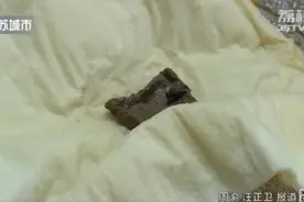 吃外卖时发现鸭血里嵌进一只苍蝇，平台却只愿赔4元图片