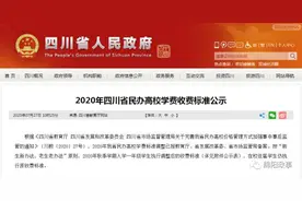 四川民办高校收费标准公示！涉及绵阳飞行职业学院、四川文化艺术学院……图片
