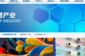 欣龙控股给月薪6000董事长涨薪16倍？揭秘该董事长真实收入图片