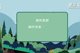科画丨研究发现树木也会“害羞” 彼此之间会保持不同距离视频封面