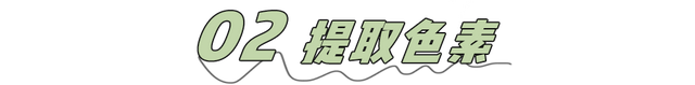 我惊了！这年头火龙果、菠菜还能染发？