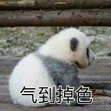 我惊了！这年头火龙果、菠菜还能染发？