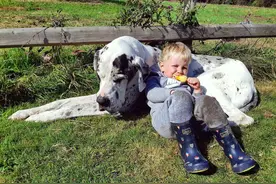 国际友谊日 盘点人与动物“老铁”形影不离温馨合照图片