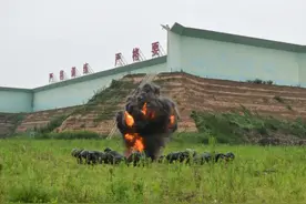 反恐利刃是尖兵，星火燎原武教头图片