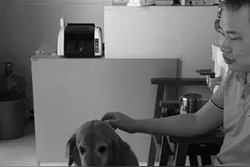 江苏首只导盲犬工作7年将退役 主人：感谢你伴我走天涯图片