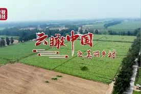 云瞰中国｜沙地种出“金”牛蒡！万亩莲藕荷塘飘香！央视财经带你站上云端看巨变视频封面
