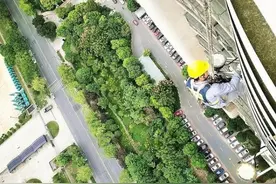 城市坚守者｜高温下的坚守，“绳来绳往”的“蜘蛛人”图片