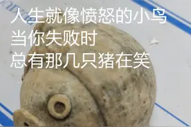 顶流来了！3200年前的小猪猪上热搜！网友：似曾相识……图片