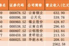 2020年《财富》中国500强出炉 7家上市滇企上榜华能水电首次亮相图片