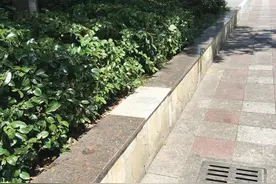 新城怡岛路步行街6块瓷砖颜色很突兀 附近居民直言“像牛皮癣”图片
