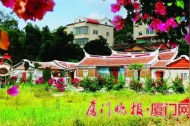厦门同安古坑村：做足三角梅文章，闽南古厝活力焕新图片