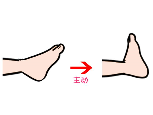【科普工作委员会】胫骨平台骨折术后该如何正确康复