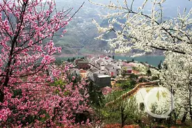 全国乡村旅游重点村 重庆巫山柑园“榜上有名”图片