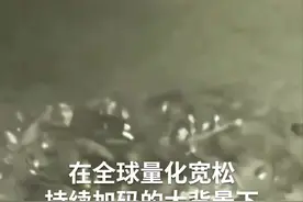 中国财富报道｜大成有色期货ETF二季度以来涨超20%视频封面