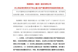 终止重大资产重组，ST椰岛就上交所问询进行回应图片