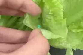 超市买菜，回家一洗竟发现“不明物体”！你可能也遇到过图片