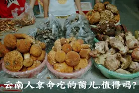 云南人在这件事上，命比谁都硬图片