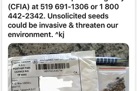 绿媒尴尬了！“中国种子阴谋论”主角竟然换成了台湾图片