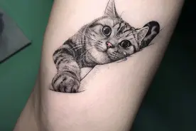 爱猫人士看过来：最萌的猫咪文身图片