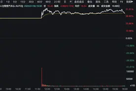 特斯拉、蔚来都跌了 理想上市首秀股价飙升40% 靠的只是炒新热情吗？图片