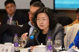 深交所女掌门来了！原证监会机构部主任沙雁今日履新深交所总经理，为第9任总经理图片