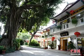 全国素菜佼佼者，绝对少不了它图片