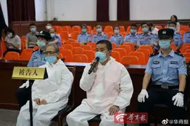 “联合国搬迁西安项目”诈骗案主犯获刑10年半图片