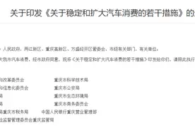 重庆发布汽车消费措施 加大新能源汽车推广图片
