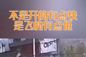 汽车是怎么上房顶的？不是开的有点快，是飞的有点低视频封面