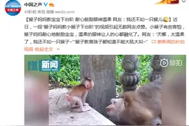 猴子妈妈教宝宝下台阶 耐心鼓励眼神温柔 网友：我还不如一只猴儿图片