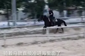 三男子骑马冲入海中救下男孩，网友：这次英雄真的是骑马来的图片