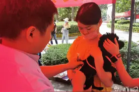 合肥市已发放养犬登记证1.9万枚 8月将进入集中整治期图片