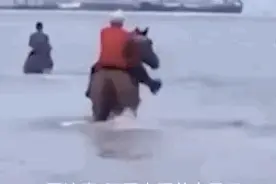 揪心！“救命恩马”第三匹也开始生病！救人者讲述：为何选择骑马下海？图片