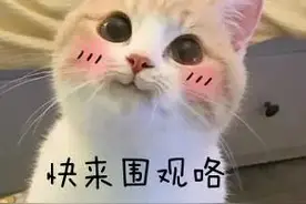 政府补贴50%！珠海这些老旧房子换新颜！亮亮堂堂图片