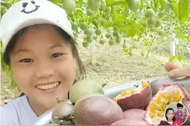 快递能进村了，广西大山里的百香果不愁了，这对兄妹生活发生逆转图片