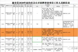 报名提醒 | 3人！赫章县社会治安综合治理服务中心招人，明天开始报名。附：赫章县2020年面向社会公开招聘事业单位工作人员简章图片