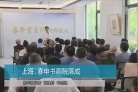 上海：春申书画院落成视频封面
