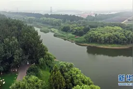 天津武清：湿地生态美图片